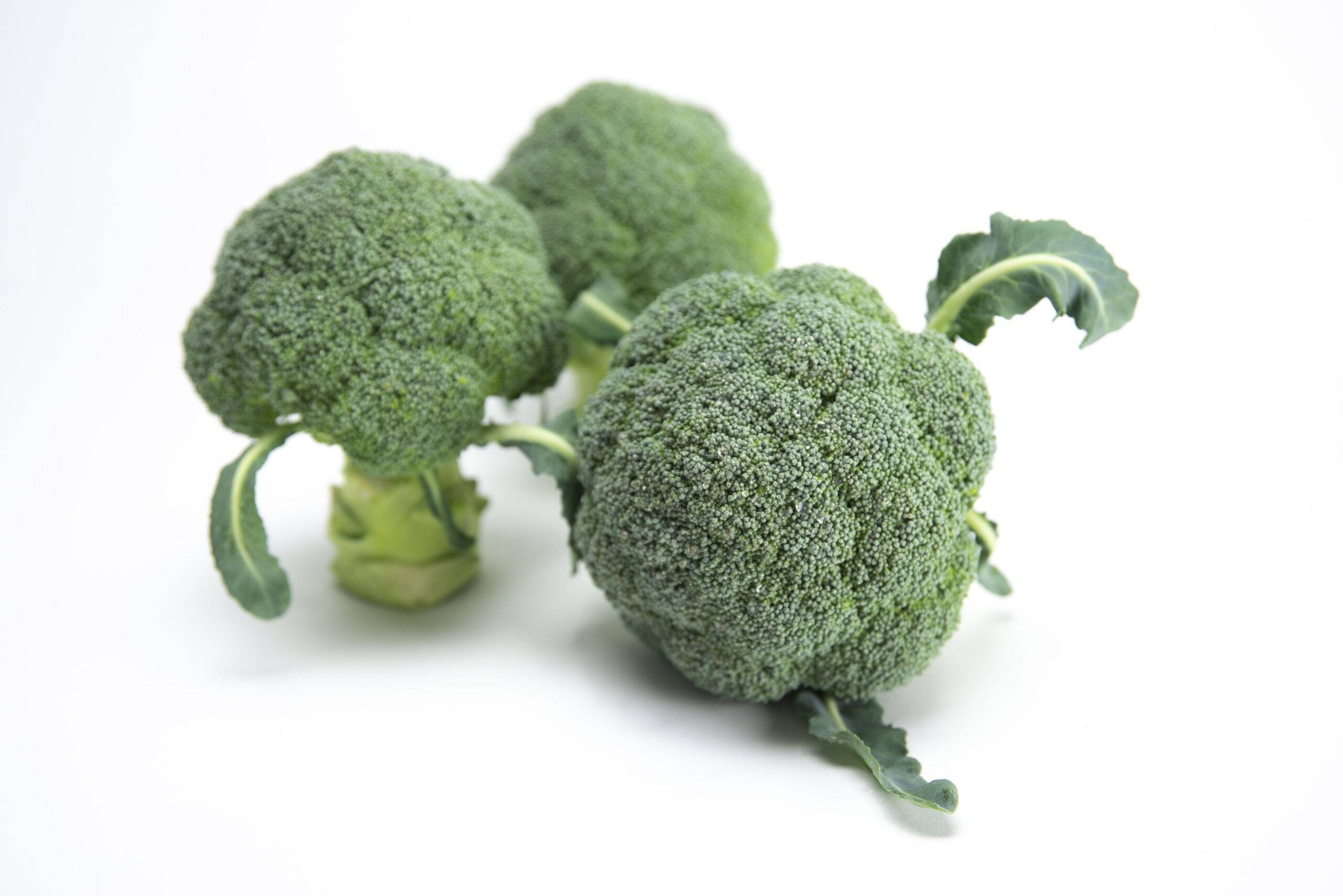 SAKATA_BROCOLI_ULYSSES_F1_3|SAKATA_BROCOLI_ULYSSES_F1_2